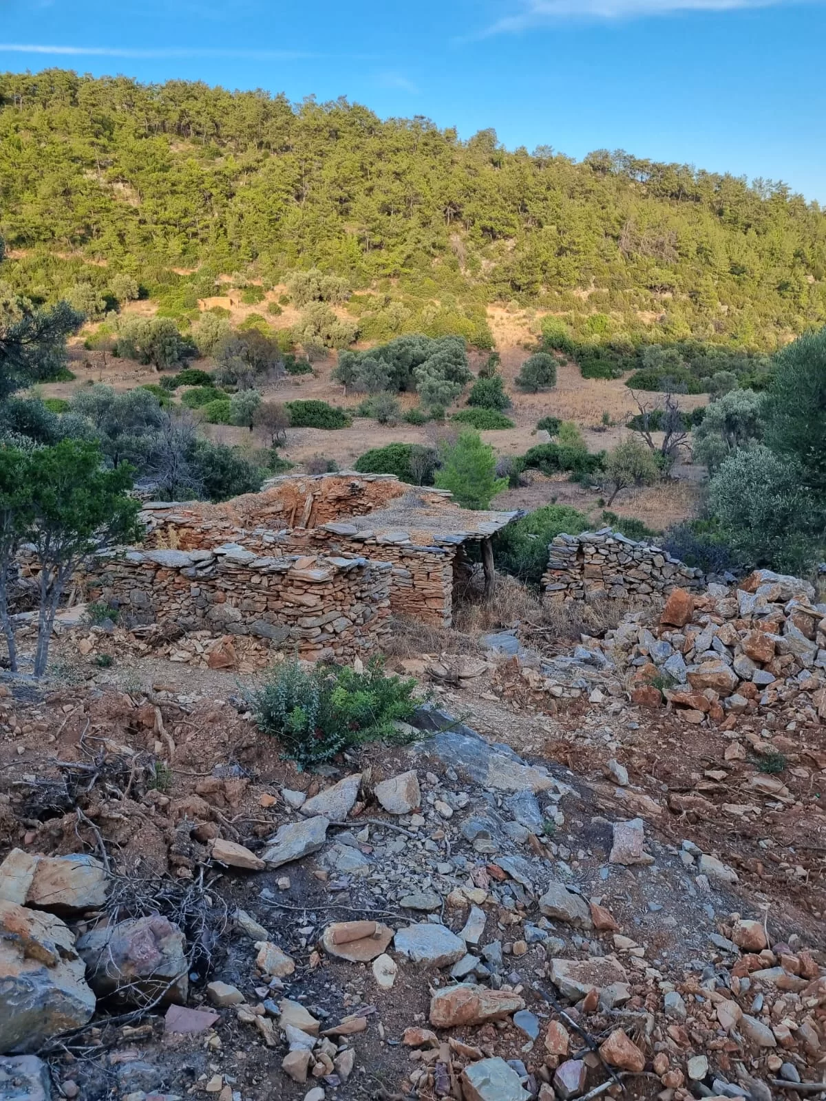 DENİZ MANZARALI 3.000 m² TARLA YALIÇİFTLİK