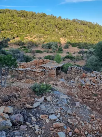 DENİZ MANZARALI 3.000 m² TARLA YALIÇİFTLİK