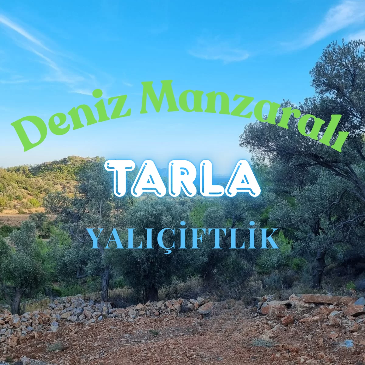DENİZ MANZARALI 3.000 m² TARLA YALIÇİFTLİK