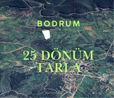 Bodrum Pınarlıbelen Mahallesi | 25 Dönüm Tarla