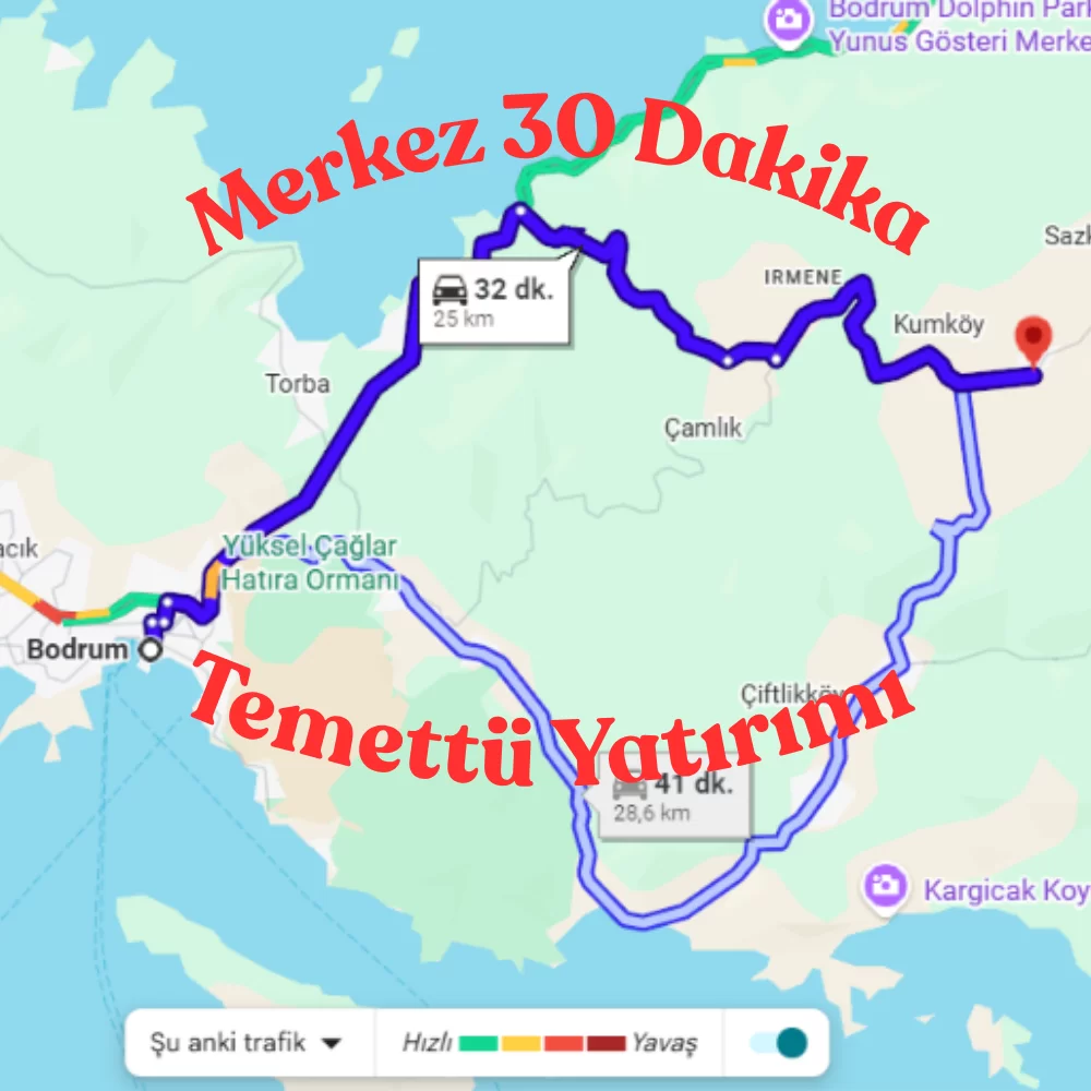 Bodrum Kemer’de Tek Tapu 35 Dönüm | 600 Verimli Zeytin Ağacı | Yıllık Gelir Potansiyelli Yatırım