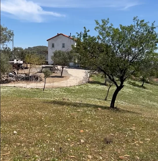 Milas Gökbel Deniz Manzaralı 600 m² Köyiçi Zeytinlik Tiny House İçin İdeal