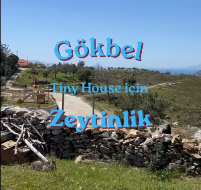 Milas Gökbel Deniz Manzaralı 600 m² Köyiçi Zeytinlik Tiny House İçin İdeal