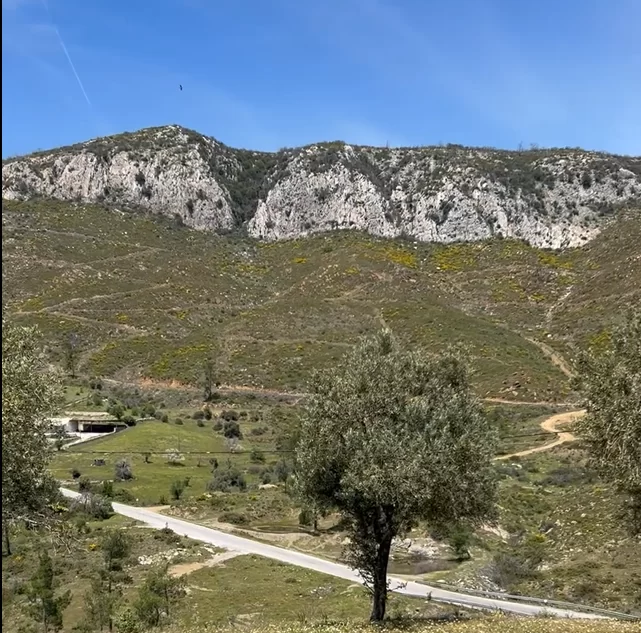 Milas Gökbel Deniz Manzaralı 600 m² Köyiçi Zeytinlik Tiny House İçin İdeal