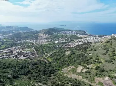 Gümüşlük'te 30 Dönüm Arsa | Deniz Manzaralı | 22 Villa Projesi ve Ruhsatı Hazır