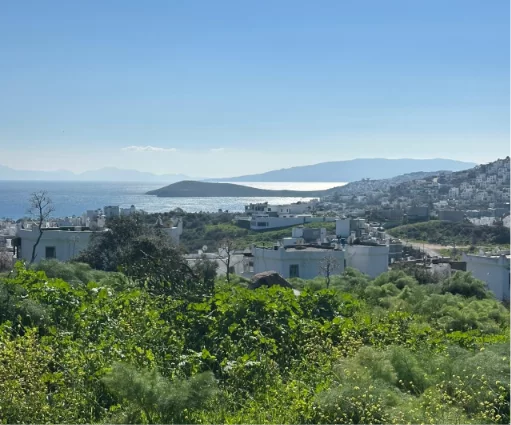 Bodrum Yahşi | Deniz Manzaralı Arsa | 3.500 m² + 3.200 m² Bonus Tarla | İnşaata Hazır