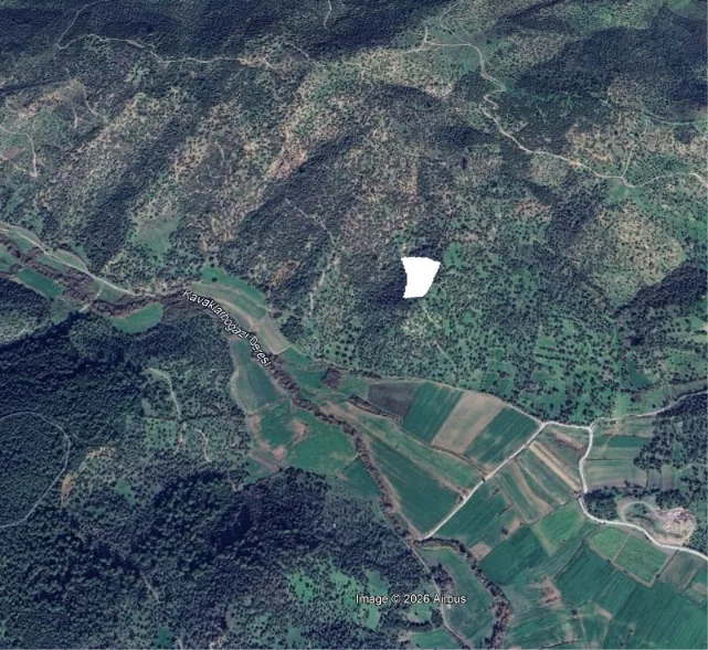 Bodrum Çömlekçi'de Ortatepe Mevkiinde 5.926 m² Satılık Zeytinlik