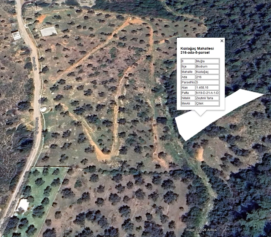 Yatırımlık Kızılağaç Çilek Mevkii'nde 1.468 m² Satılık Zeytinli Tarla