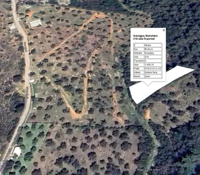 Yatırımlık Kızılağaç Çilek Mevkii'nde 1.468 m² Satılık Zeytinli Tarla