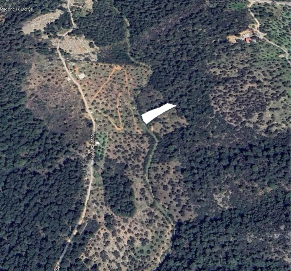 Yatırımlık Kızılağaç Çilek Mevkii'nde 1.468 m² Satılık Zeytinli Tarla