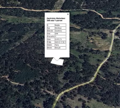 Muğla Menteşe Zeytinköy'de 2.872 m² Satılık Tarla