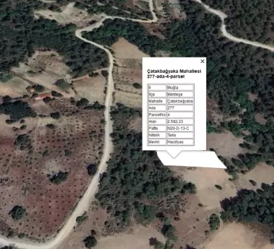 Muğla Menteşe Çatakbağyaka’da 2.582 m² Yatırımlık Tarla