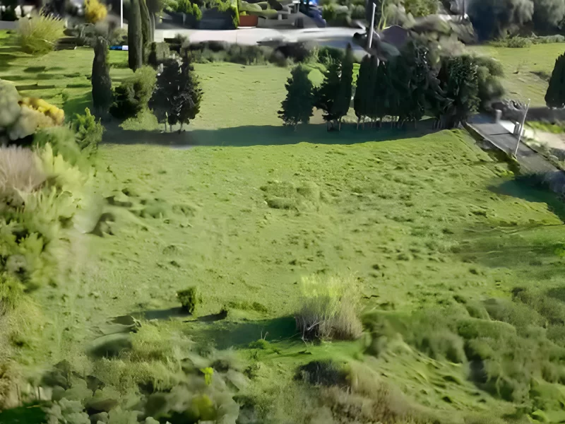 Bodrum Yalıkavak Gökçebelde 7.000 m² İçinde Tarihi Taş Ev ve Narenciye Bahçesi