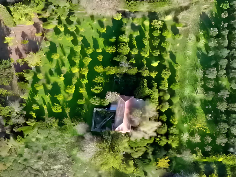 Bodrum Yalıkavak Gökçebelde 7.000 m² İçinde Tarihi Taş Ev ve Narenciye Bahçesi