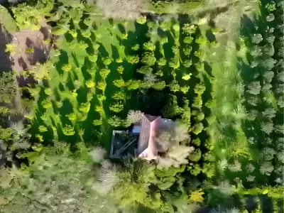 Bodrum Yalıkavak Gökçebelde 7.000 m² İçinde Tarihi Taş Ev ve Narenciye Bahçesi