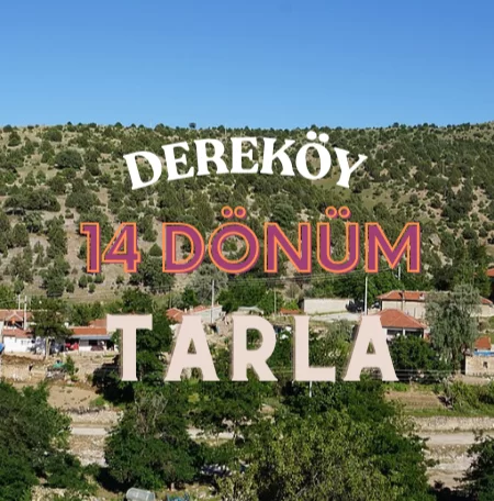 14 Dönüm Tarla Dereköy’de Yatırımlık Fırsat: Elektrik ve Suyu Hazır!