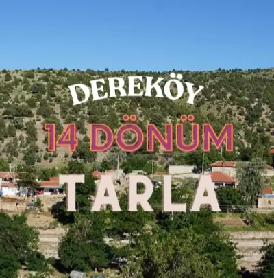 14 Dönüm Tarla Dereköy’de Yatırımlık Fırsat: Elektrik ve Suyu Hazır!