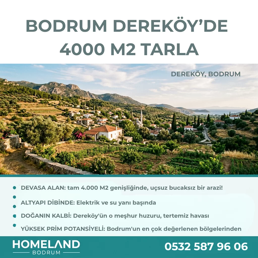 Bodrum Dereköy’de Yatırımlık Fırsat: 4 Dönüm, Elektrik ve Suyu Hazır!